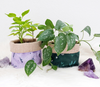 Fabric Plant Pot Holder Goddess Provisions